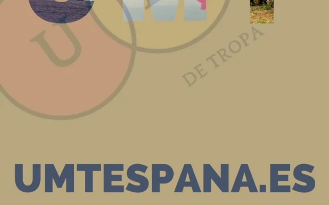 Comisión Interministerial