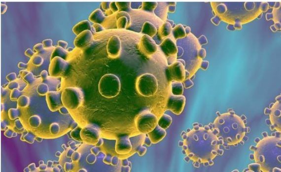 UMT contra la fiebre del Nilo